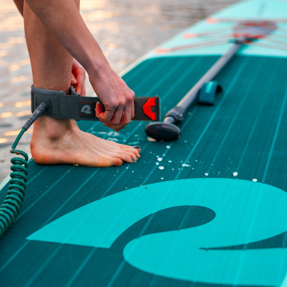Weekender 10' Paddle Board Safety Leash | Retrospec